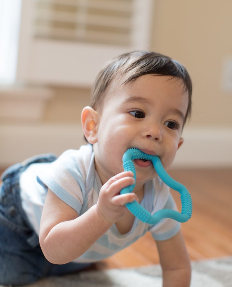 Lifestyle_Teether_Flexees_O16A5345 Lifestyle_Teether_Flexees_O16A5345