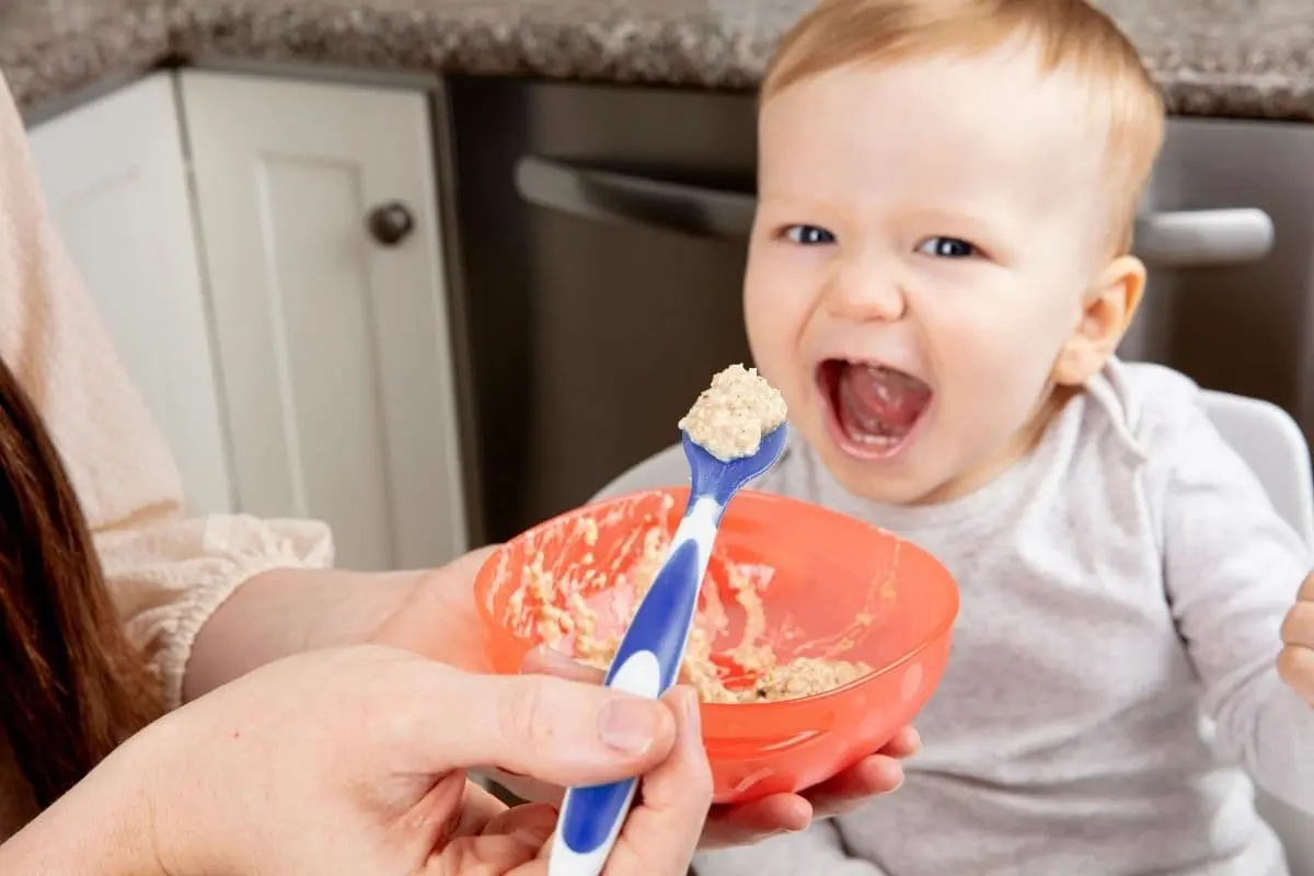Resep MPASI Sehat dan Disukai Bayi