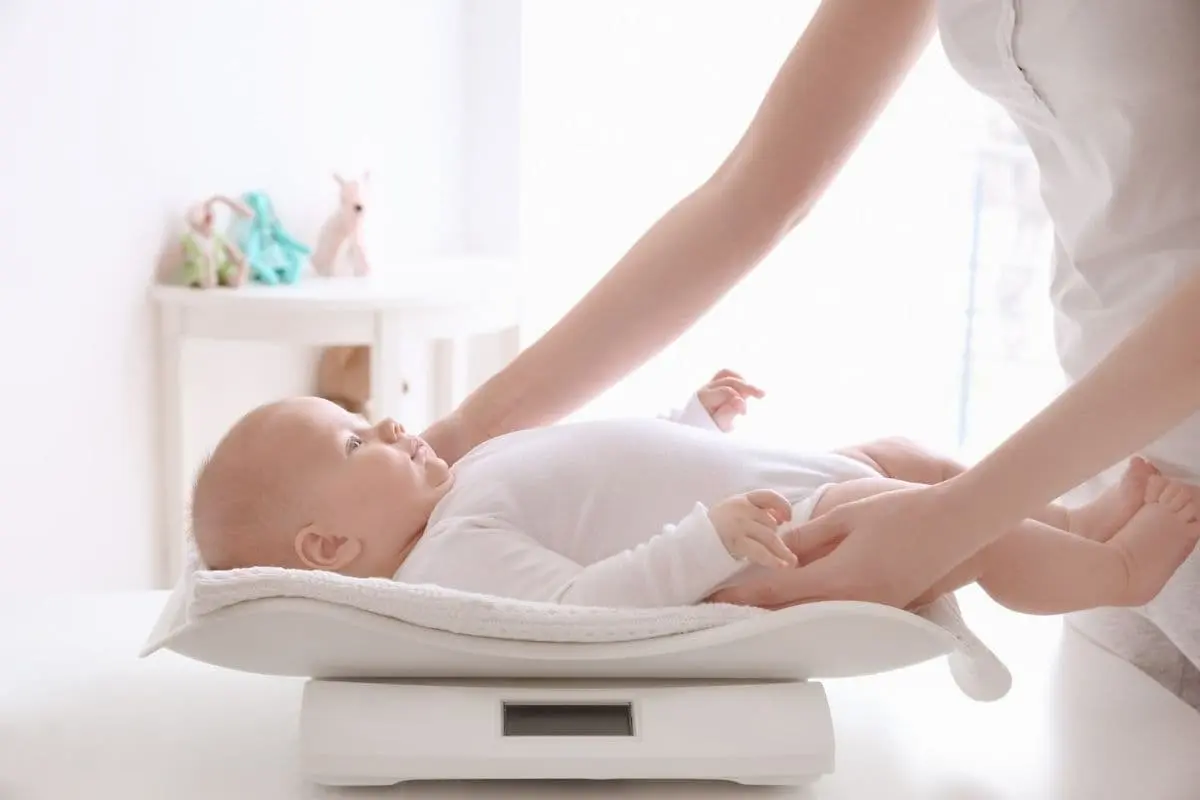 Tips Menambah Berat Badan Si Kecil