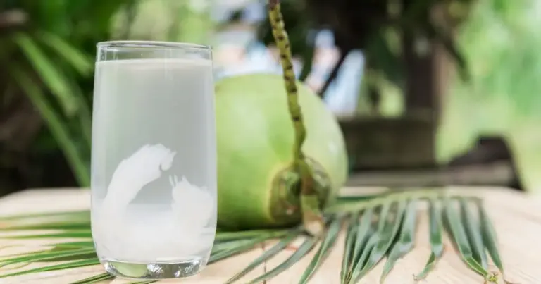 Berbagai Manfaat Kelapa Hijau untuk Kesuburan