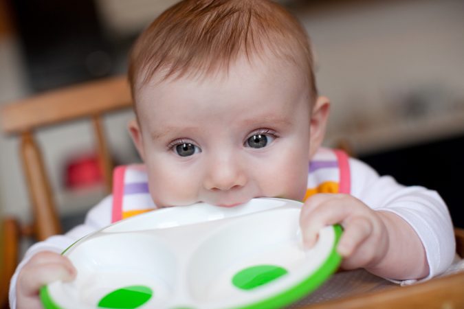 Lifestyle_Solid_Feeding_Plate_7_H