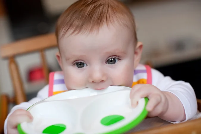 Lifestyle_Solid_Feeding_Plate_7_H