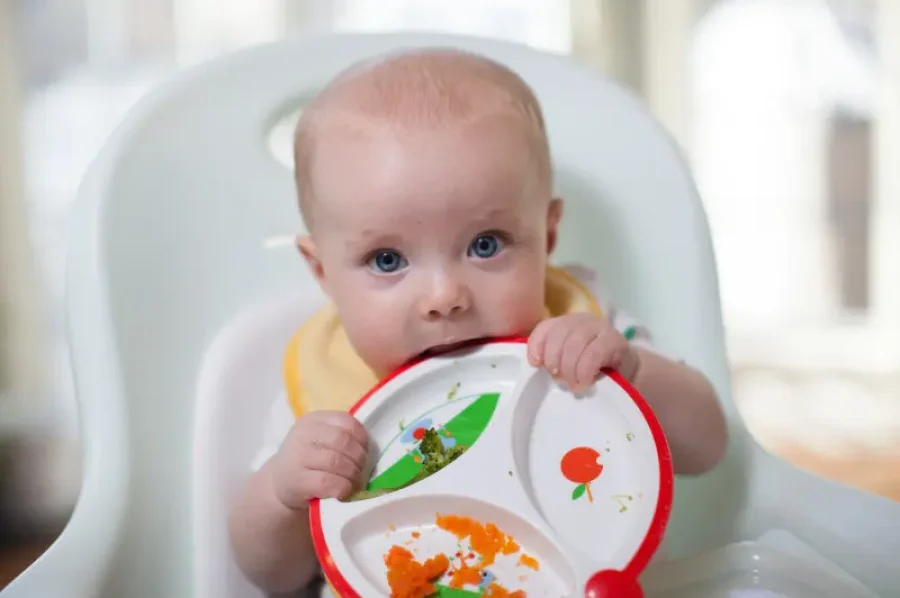 Lifestyle_Solid_Feeding_Plate_IMG_1196