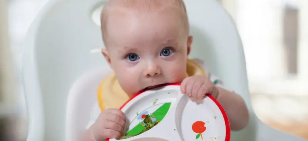 Lifestyle_Solid_Feeding_Plate_IMG_1196