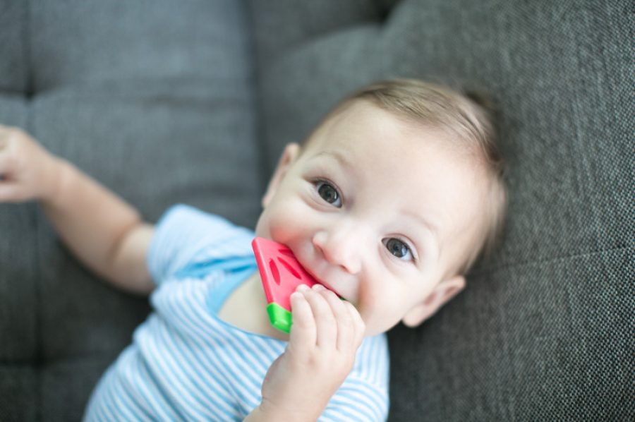 Lifestyle_Teether_Coolees_O16A5114