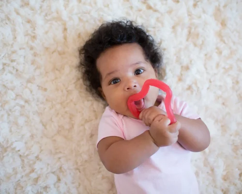 Lifestyle_Teether_Flexees_O16A5373