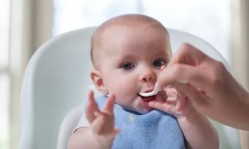 solid-feeding